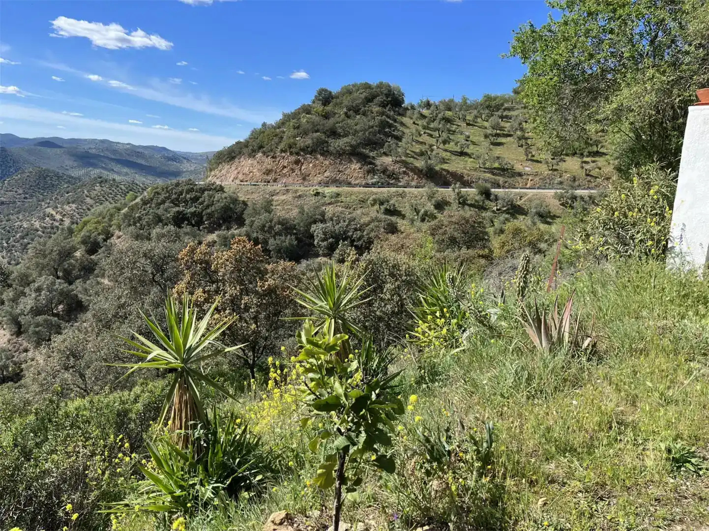 Vista exterior de Finca rústica en venda en Pozoblanco amb Jardí privat, Piscina i Balcó