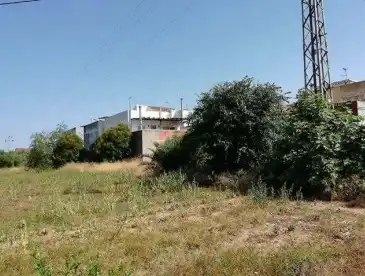 Terreny rústic en venda a C/ San Juan, imagen 8