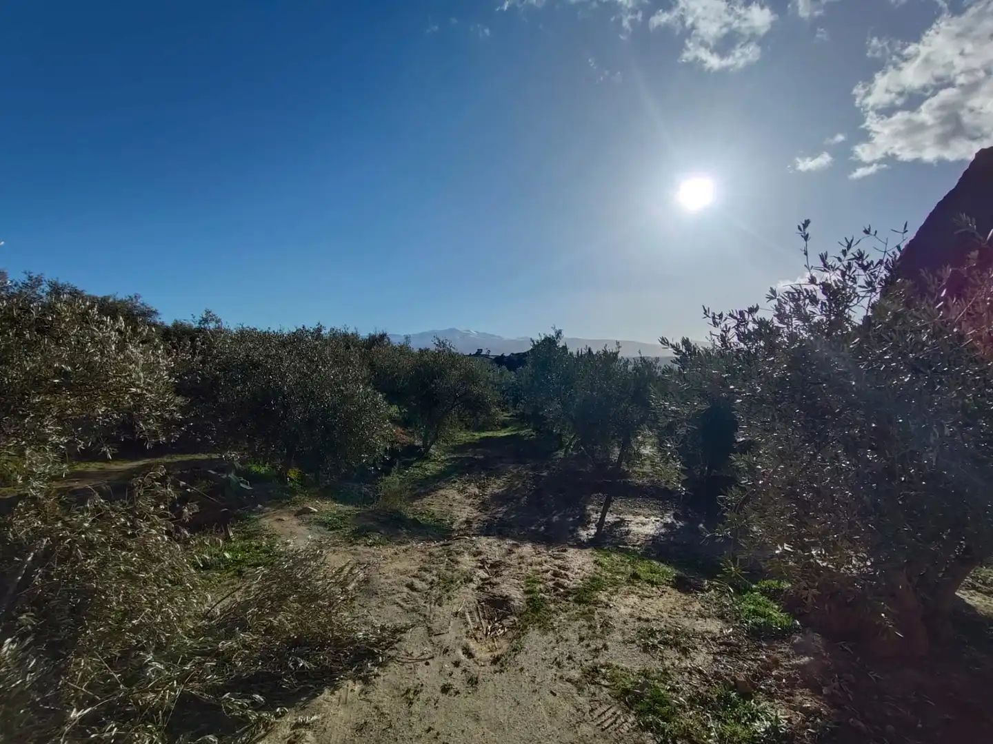 Grundstücke zum Verkauf in Guadix