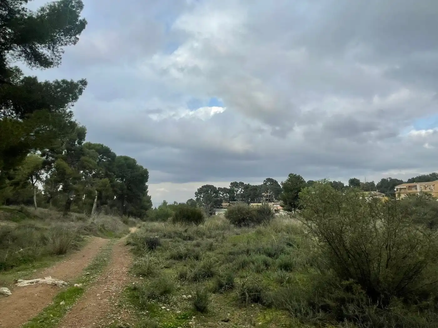Terreno residenziale in vendita a Pedanías Este, imagen 6