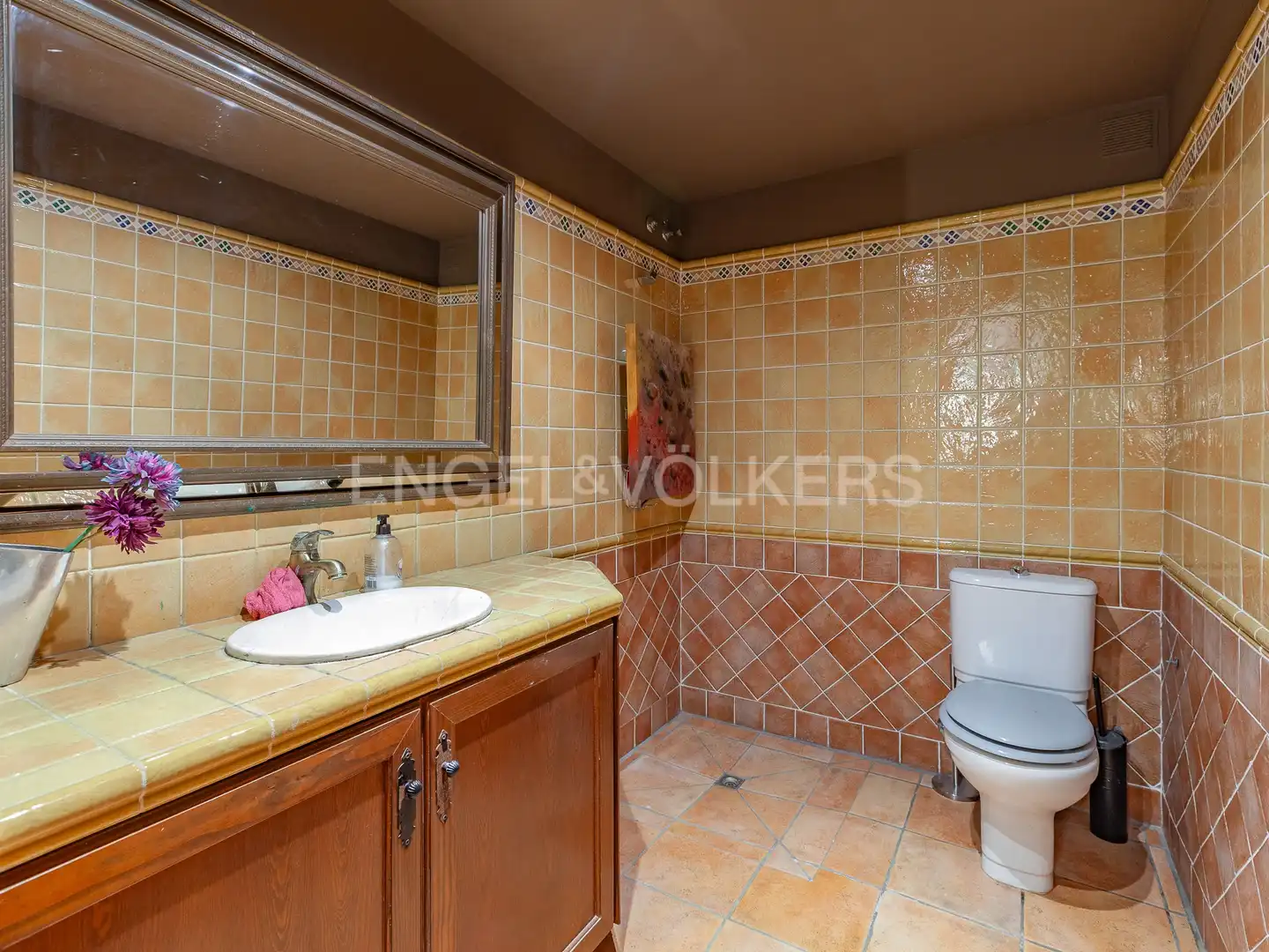 Casa con terraza en venta en Airesol, imagen 60