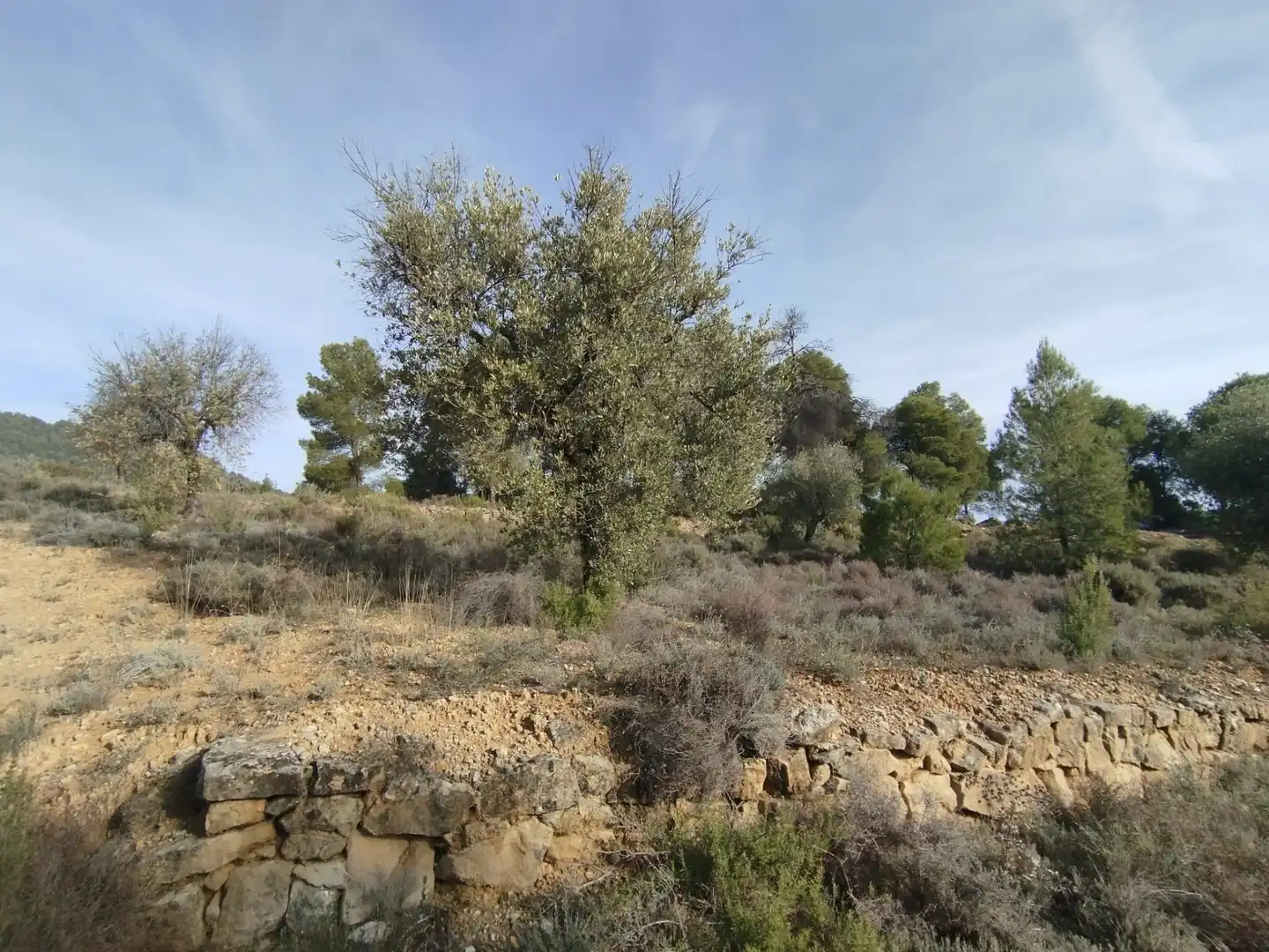 Casa o chalet en venta en Valderrobres con Amueblado