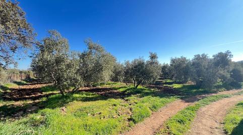 Photo 3 of Country house for sale in Centro, Málaga