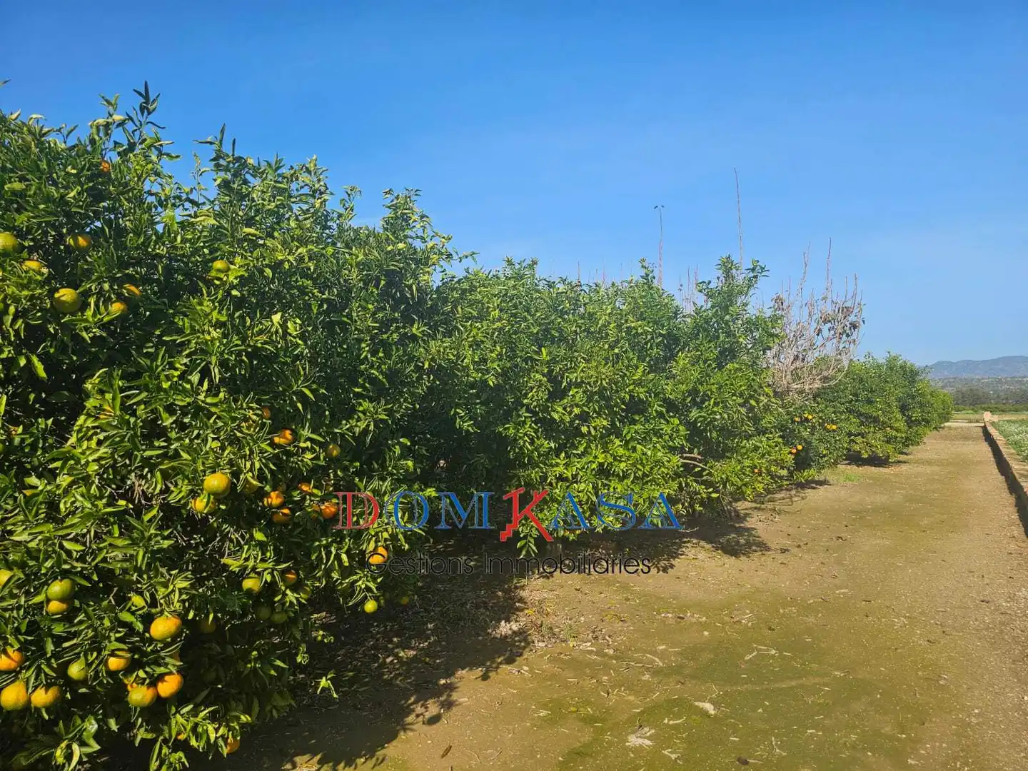 Rural land for sale in Bítem, imagen 3