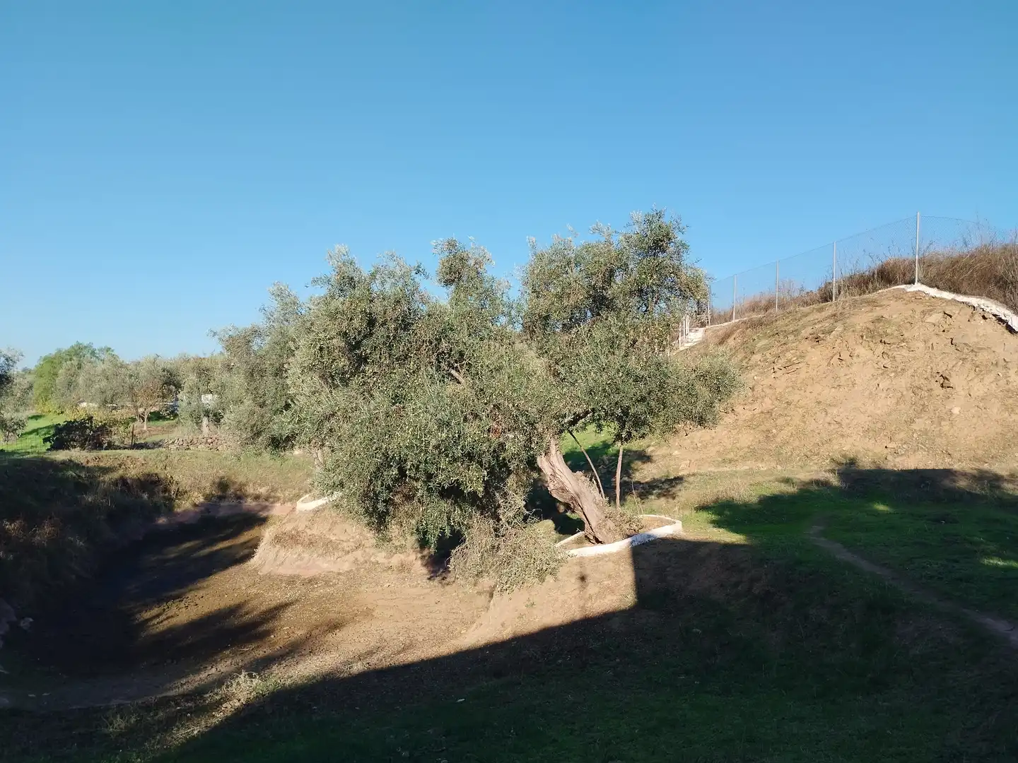 Casa rústica amb jardí en venda a Jerez de los Caballeros, imagen 3