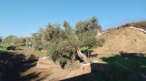 Photo 3 of Country house for sale in Jerez de los Caballeros, Badajoz