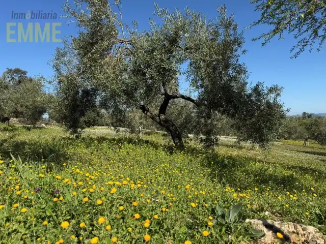 Grundstücke und Bauplätze zum Verkauf in San Rafael, imagen 2