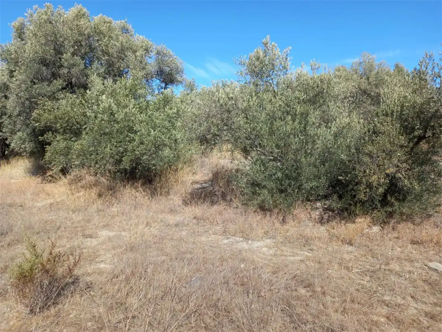 Terreno en venta en Las Tres Villas, Almería