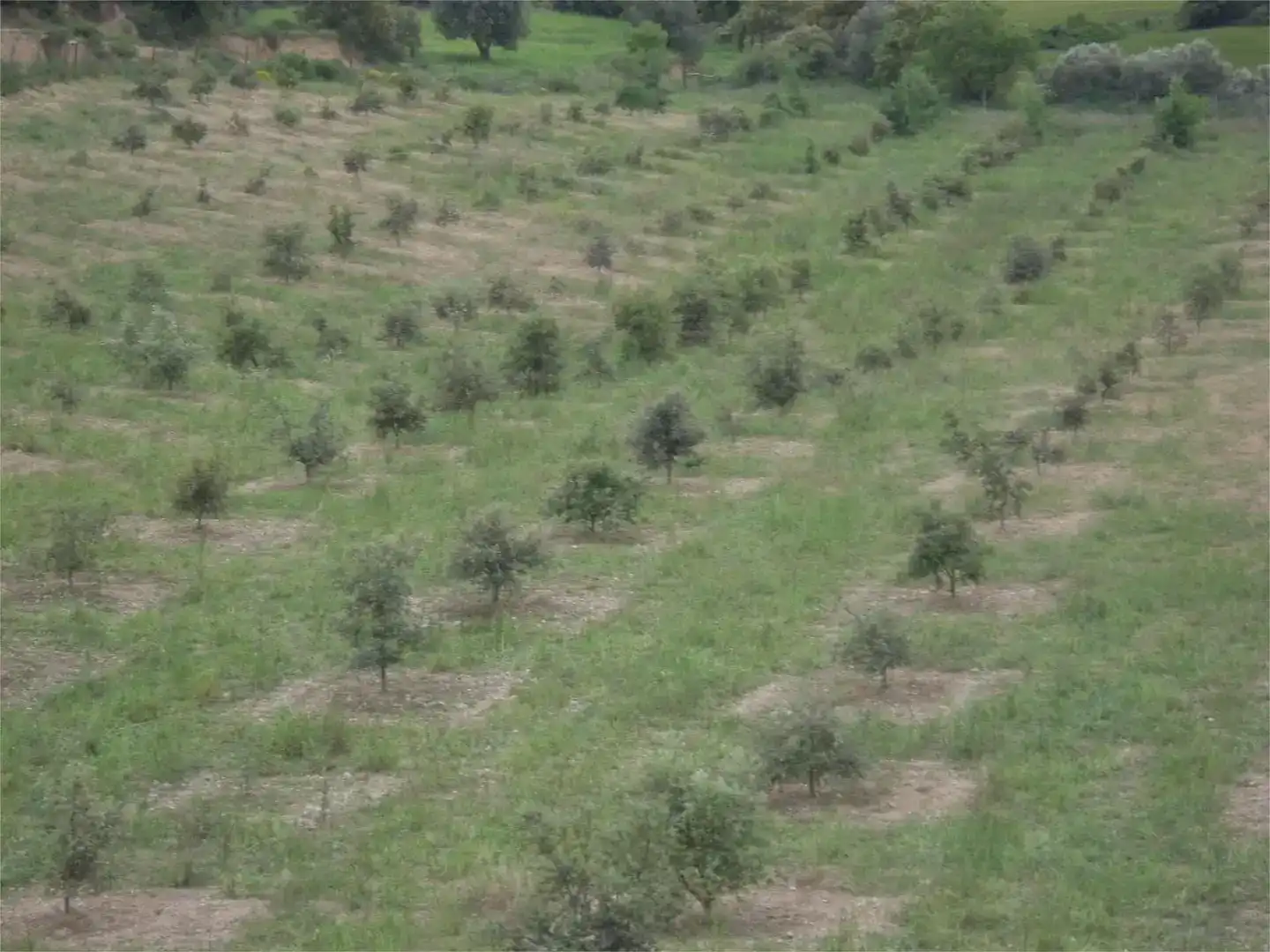 Finca rústica en venta en Barbastro