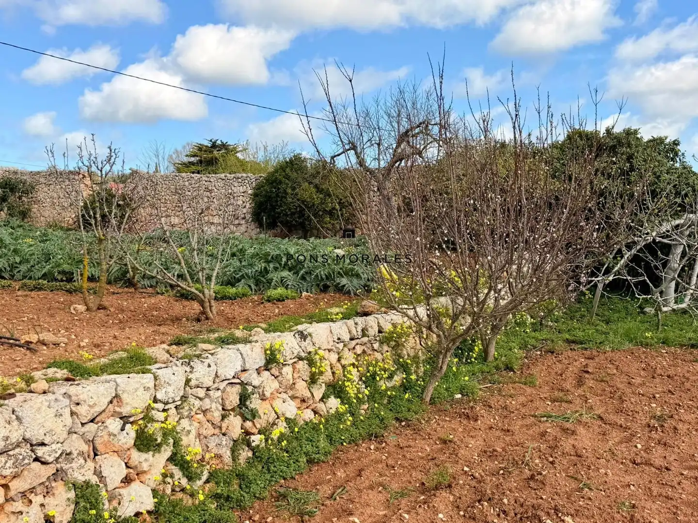 Jardí de Finca rústica en venda en Ciutadella de Menorca amb Calefacció, Piscina i Moblat