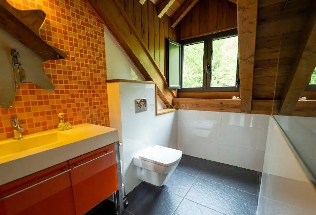 Casa o xalet en venda a Esterri d'Àneu