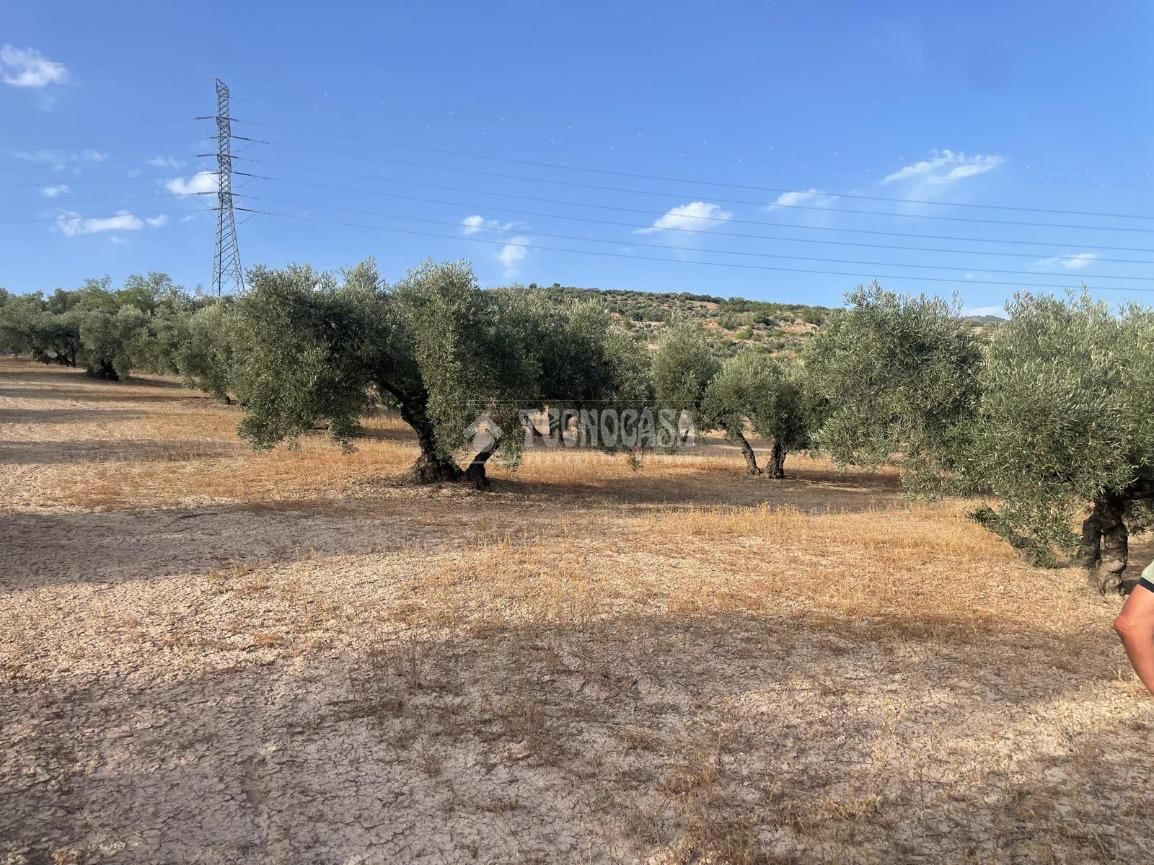 Grundstücke zum verkauf in Güevéjar