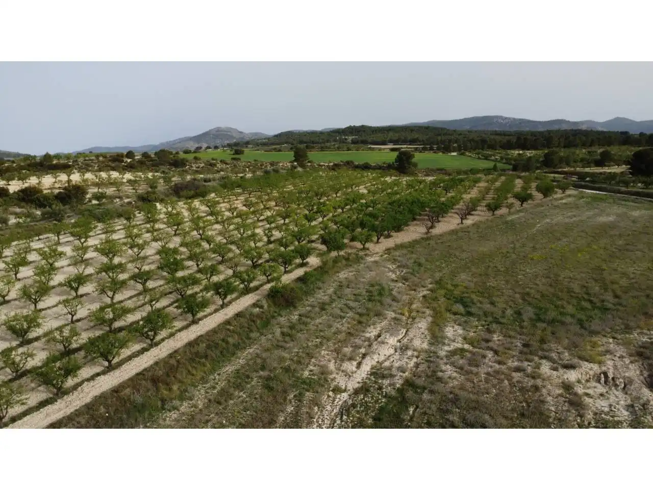 Terreno residencial en venta en Caravaca de la Cruz