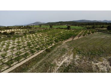 Residential land for sale in Caravaca de la Cruz