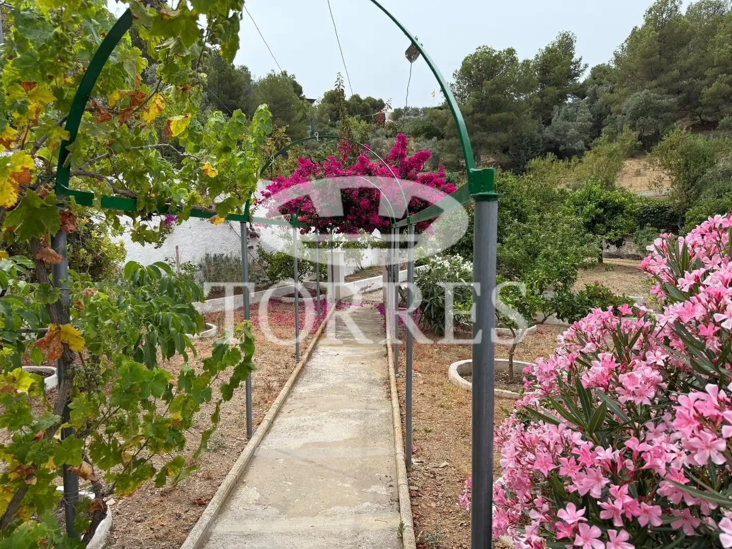 Jardín de Casa o chalet en venta en Málaga con Terraza, Trastero y Piscina
