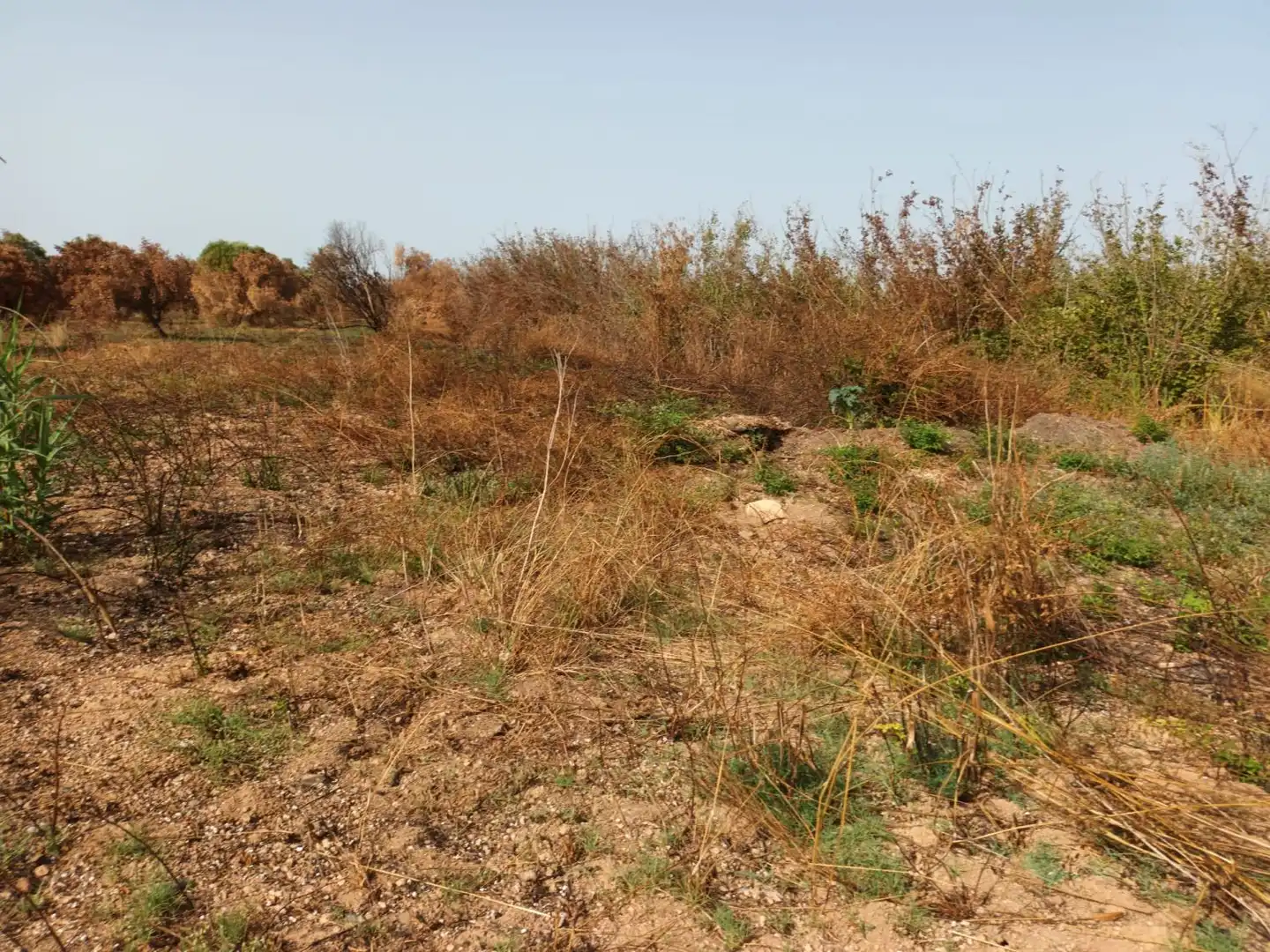 Country house for sale in Constantí, imagen 24