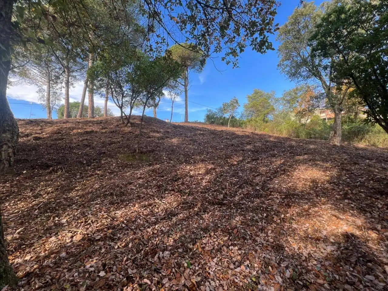 Terreno rustico in vendita a Calle Riells I Viabrea, imagen 9