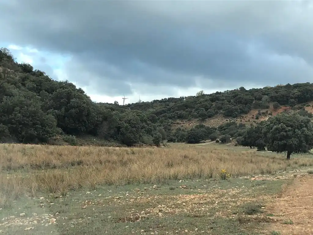 Terreno en venta en Peñascosa
