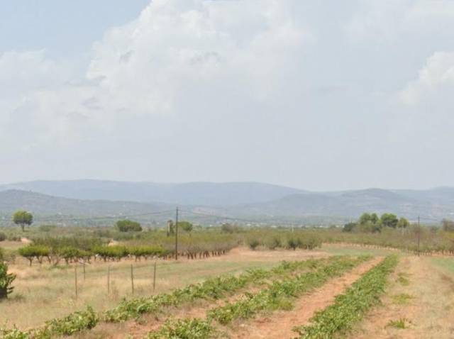 Terreno en Venta en Polígono 2 en Vilafamés