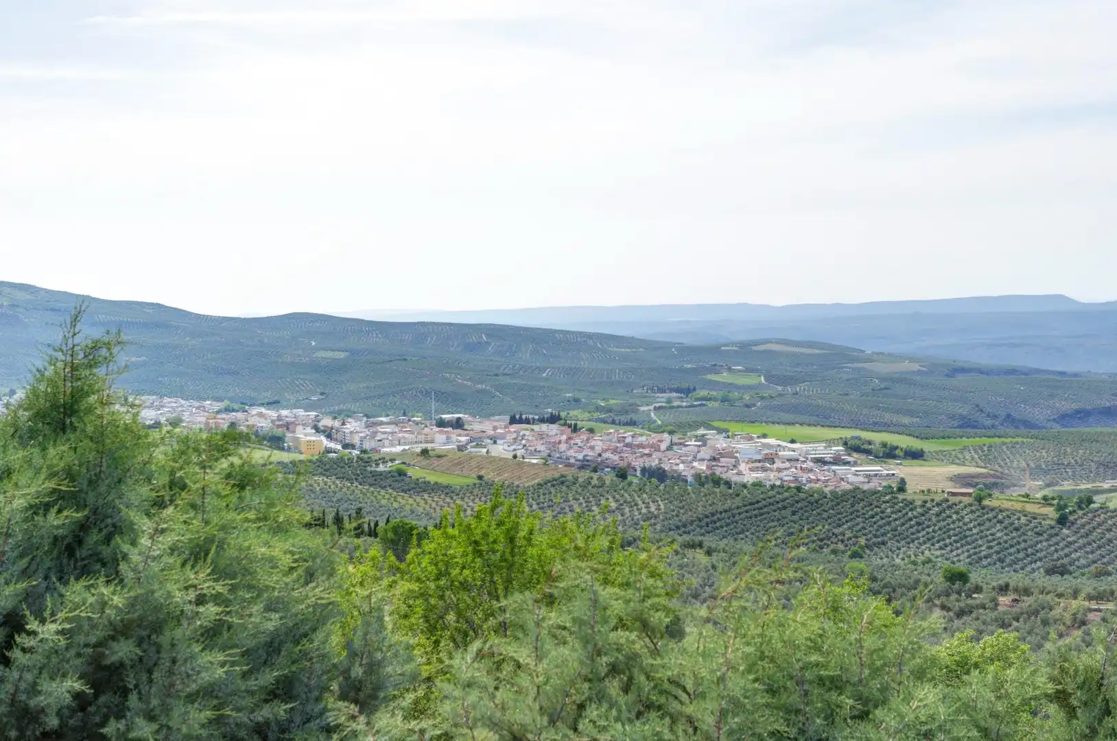 Vista exterior de Casa o xalet en venda en Jaén amb Jardí privat, Terrassa i Piscina