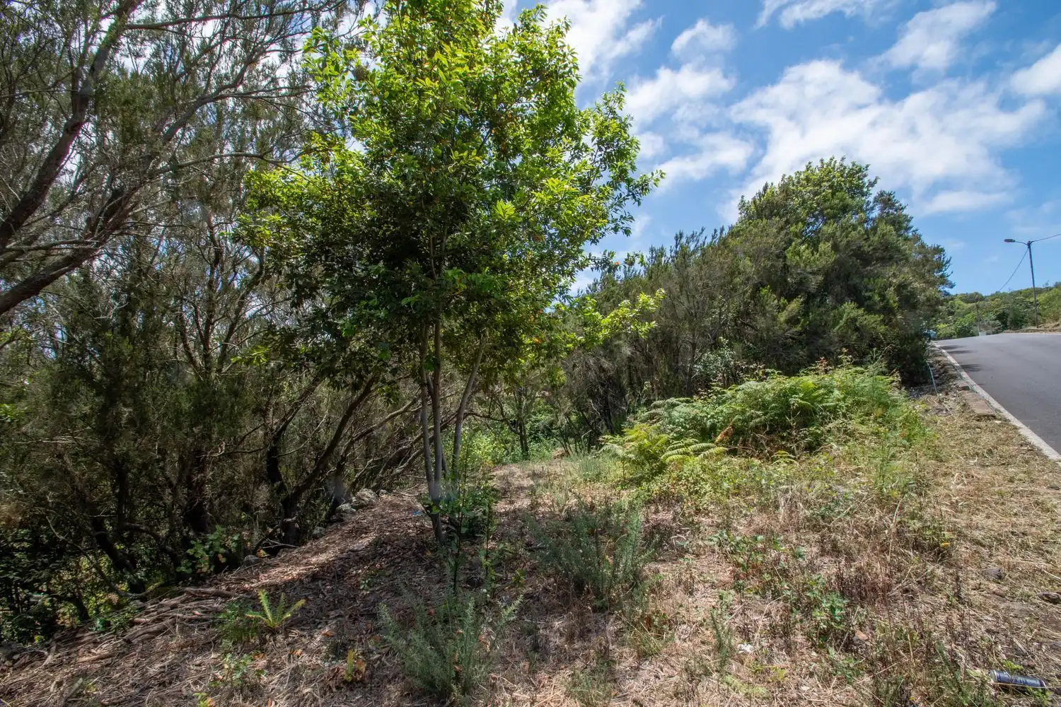 Land for sale in El Tanque