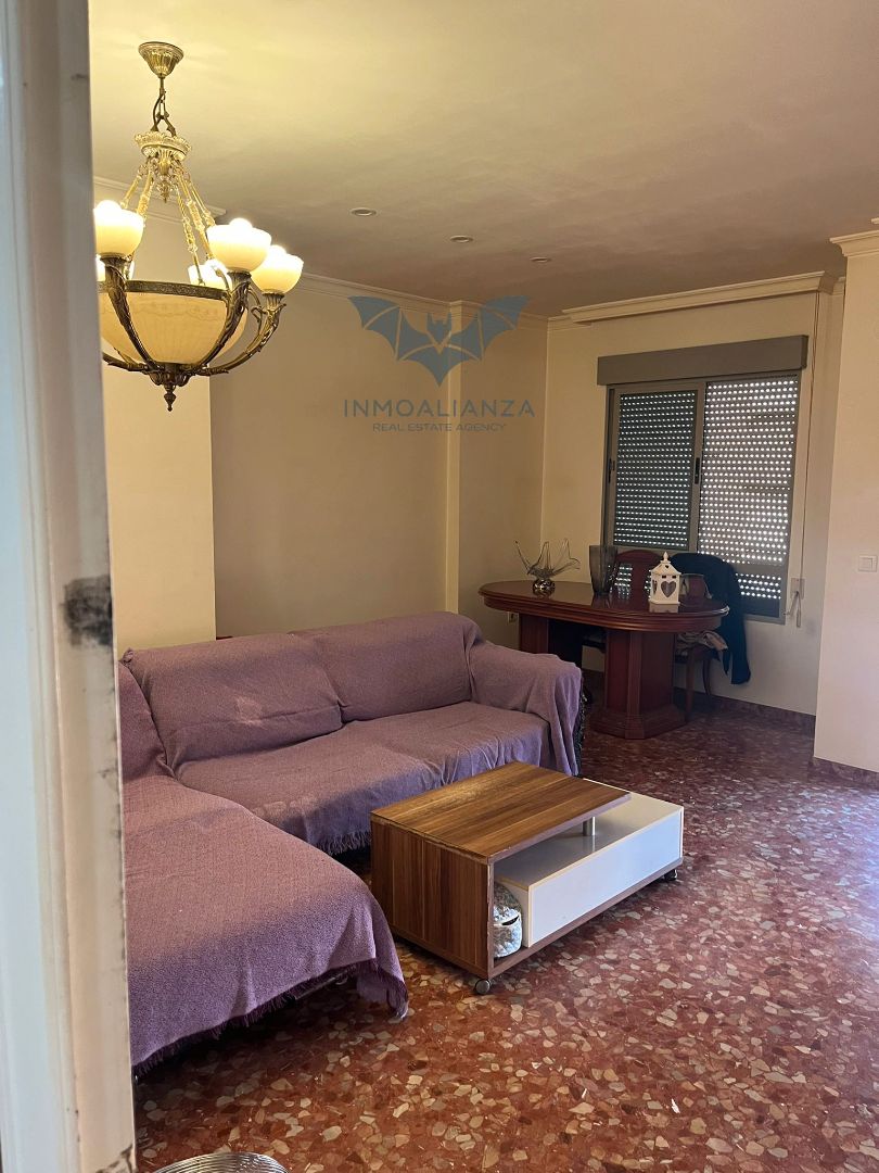 Living room of Flat for sale in Algemesí  with Air Conditioner, Heating and Balcony