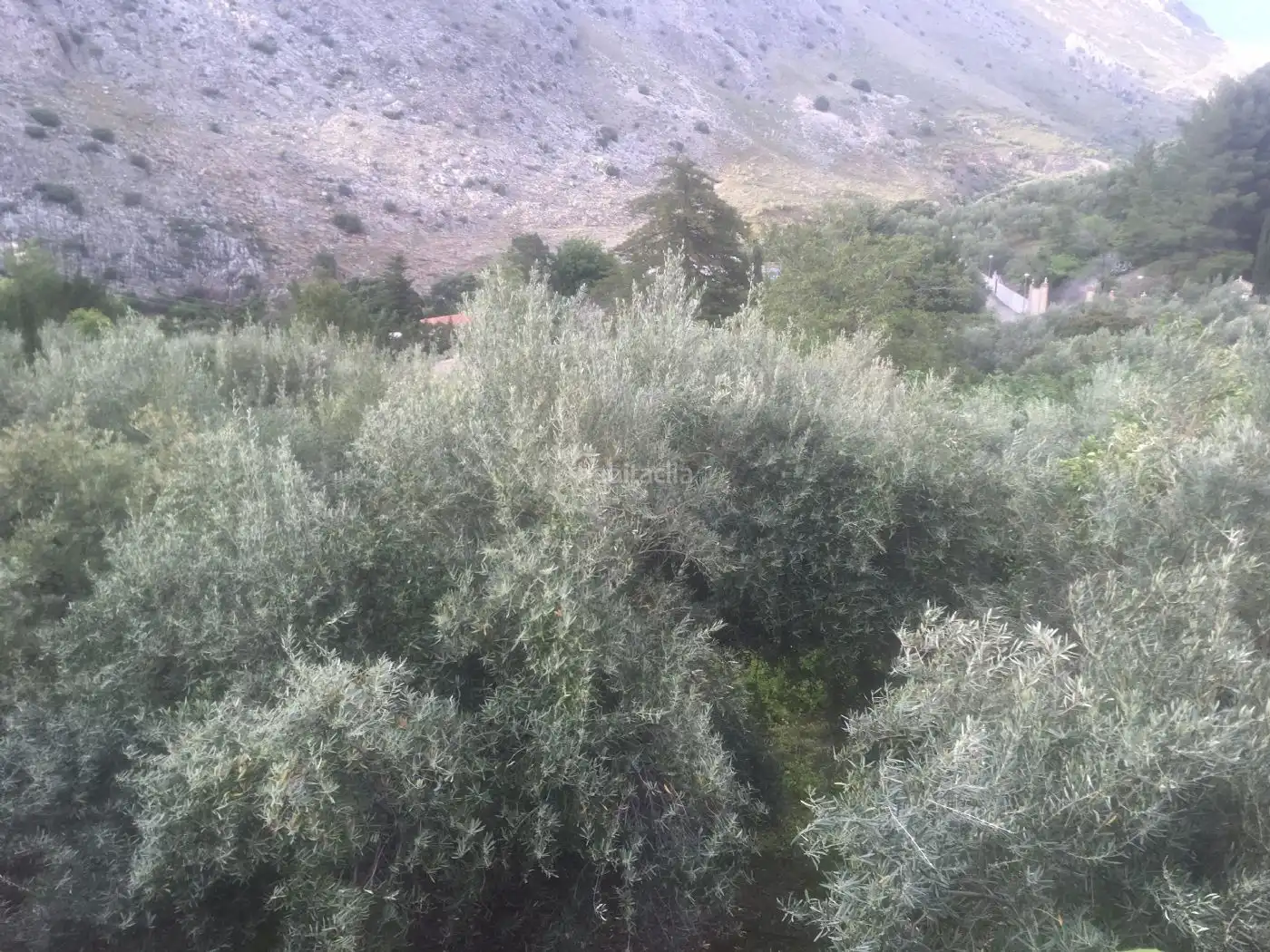 Xalet en venda a Diseminado Ctra Valdepeñas 94, imagen 13