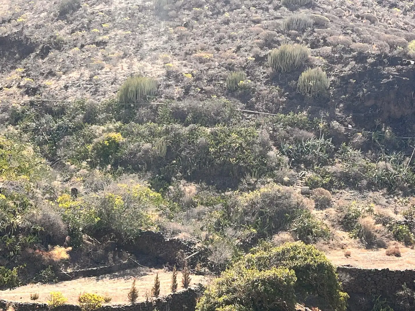 Terreno en venta en Cidamón