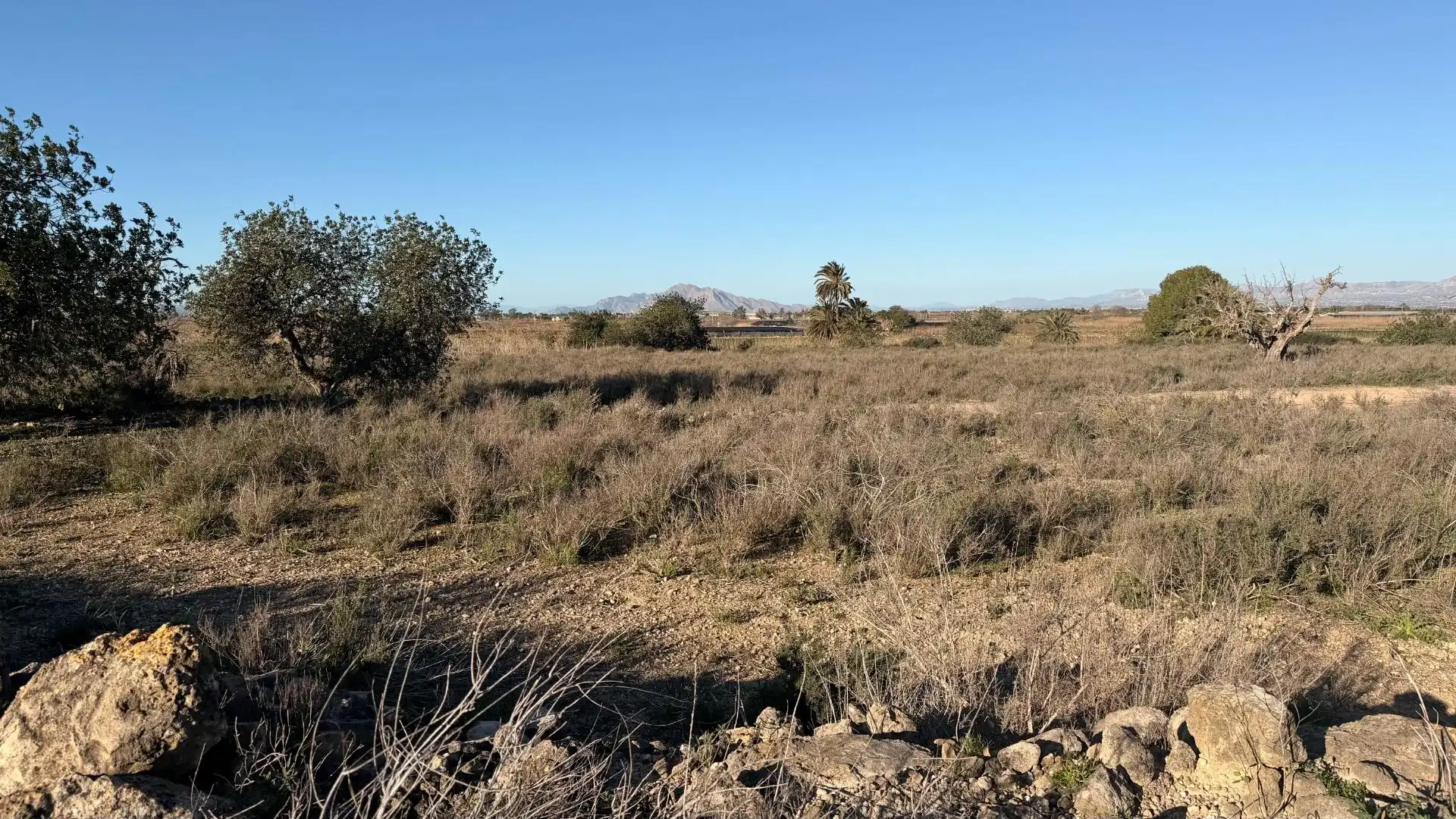 Terreno residencial en venta en La Marina, imagen 41