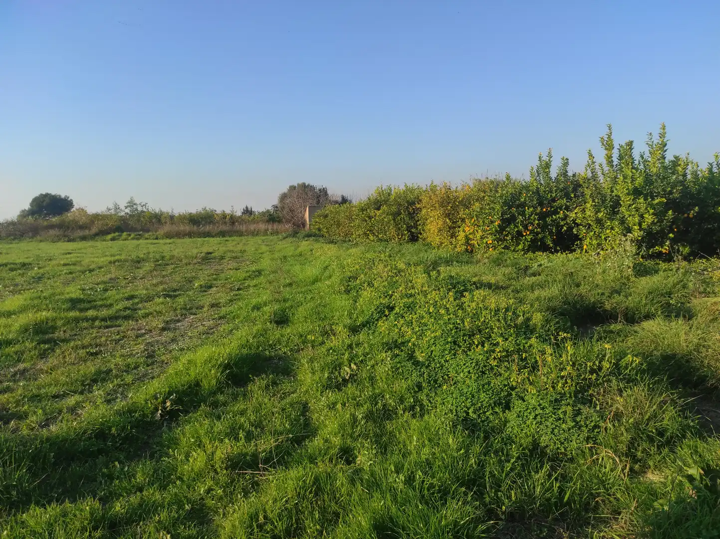 Terrenys i solars en venda a Pedanías Este, imagen 6