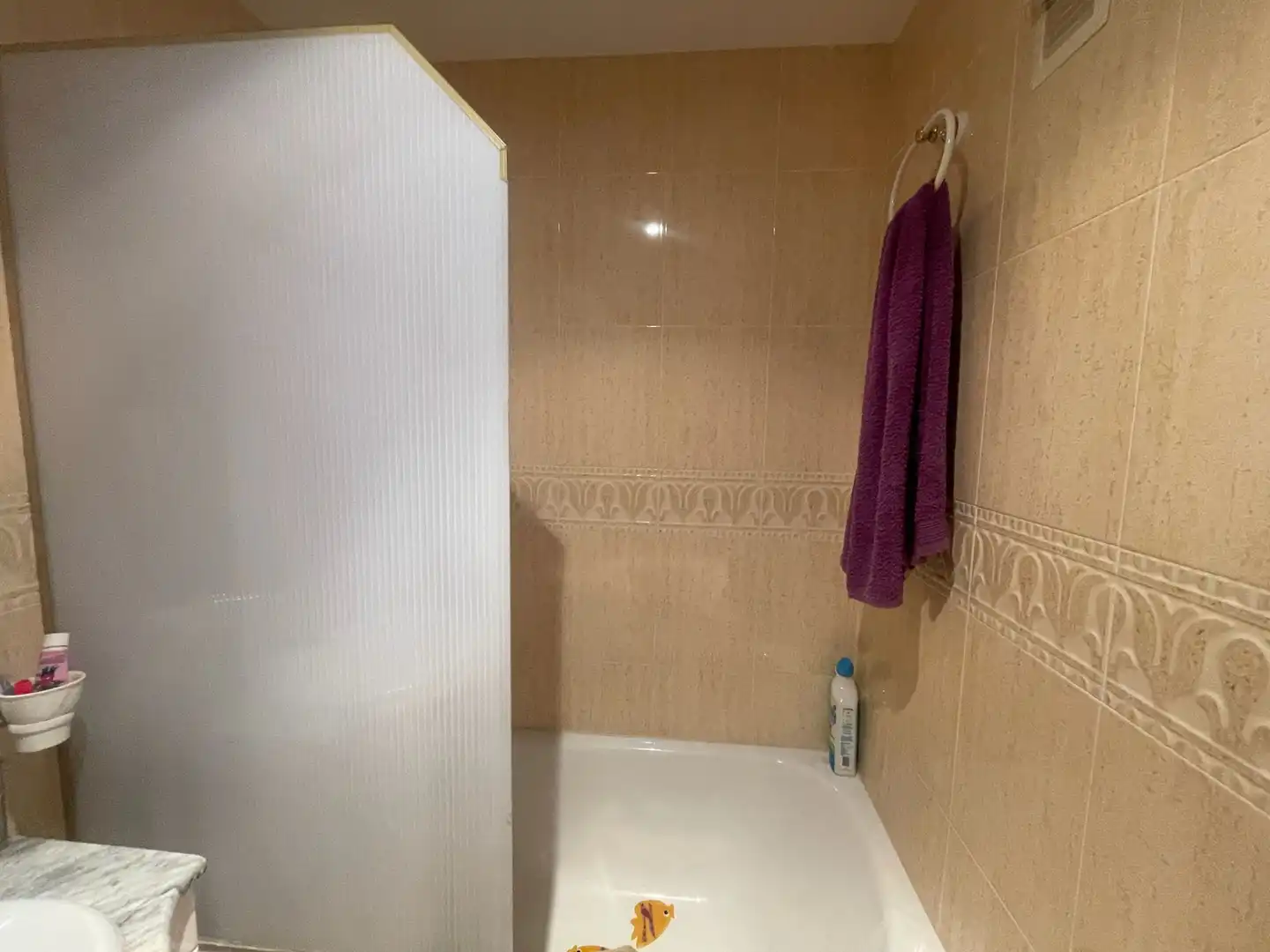 Bany de Apartament en venda en Moncofa amb Terrassa, Traster i Moblat