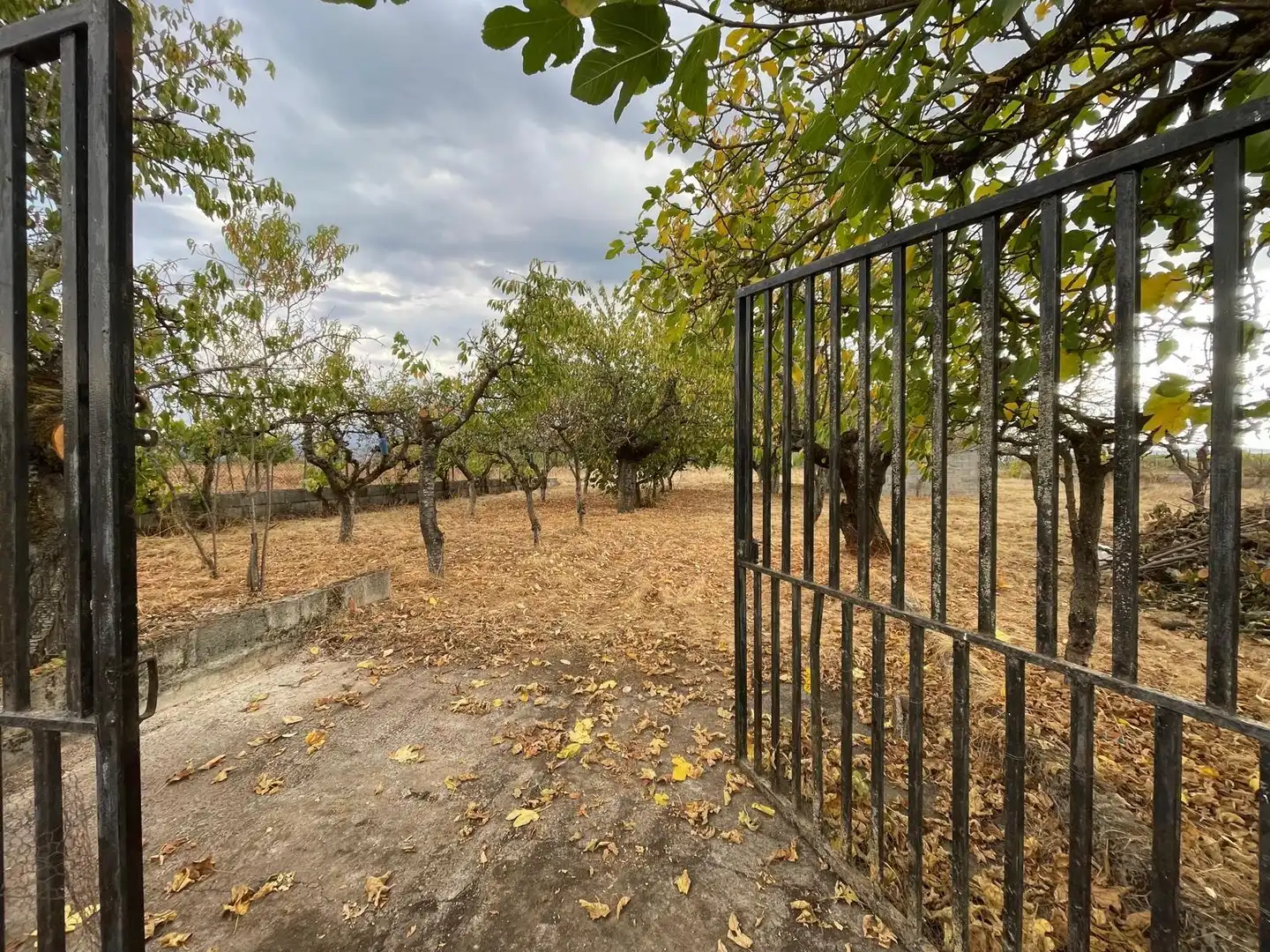 Terreno en venta en Camponaraya