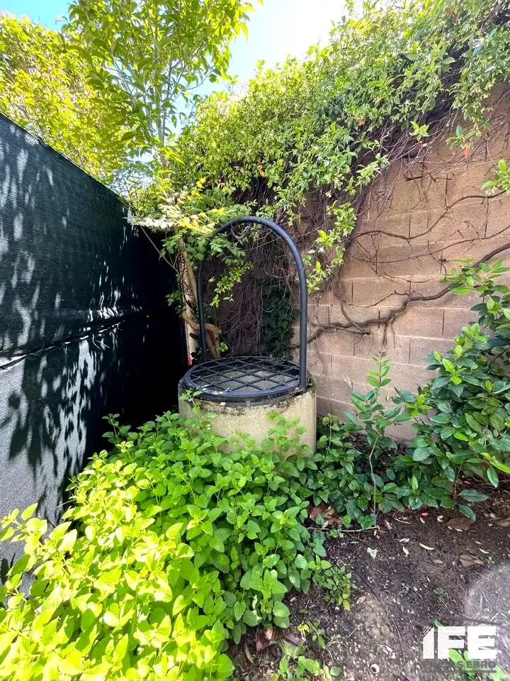 Terrassa de Casa o xalet en venda en Mallén amb Jardí privat, Terrassa i Alarma