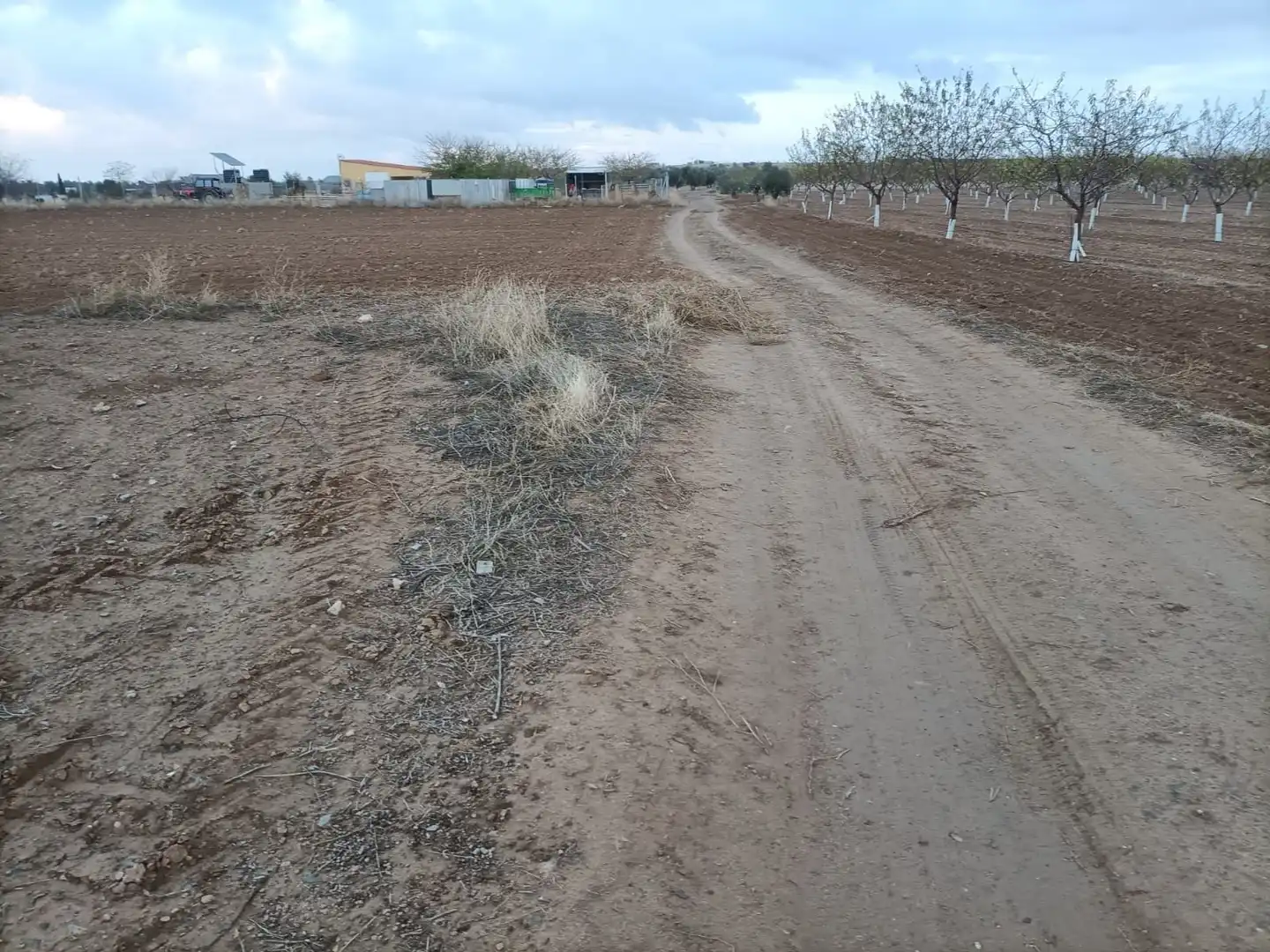 Terreni e lotti in vendita a Villaminaya