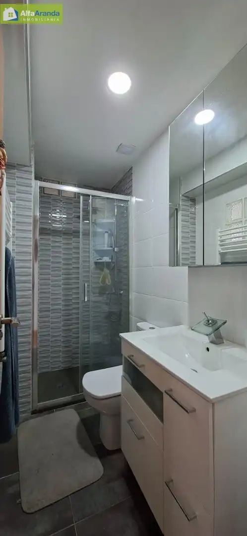 Badezimmer von Wohnung zum Verkauf in Aranda de Duero