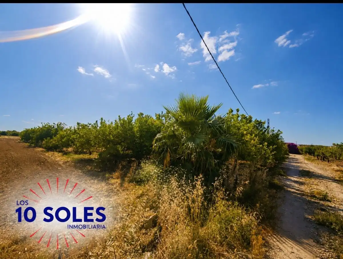 Terreny rústic en venda a Molins - Campaneta - San Bartolomé, imagen 3