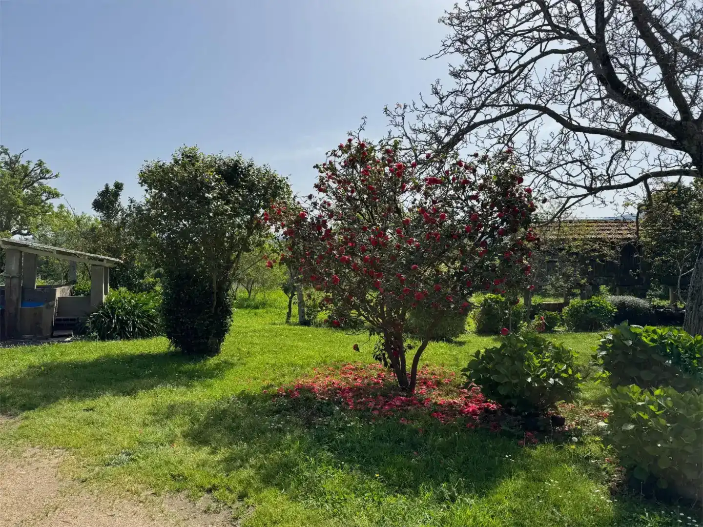 Casa o xalet en venda en Meis