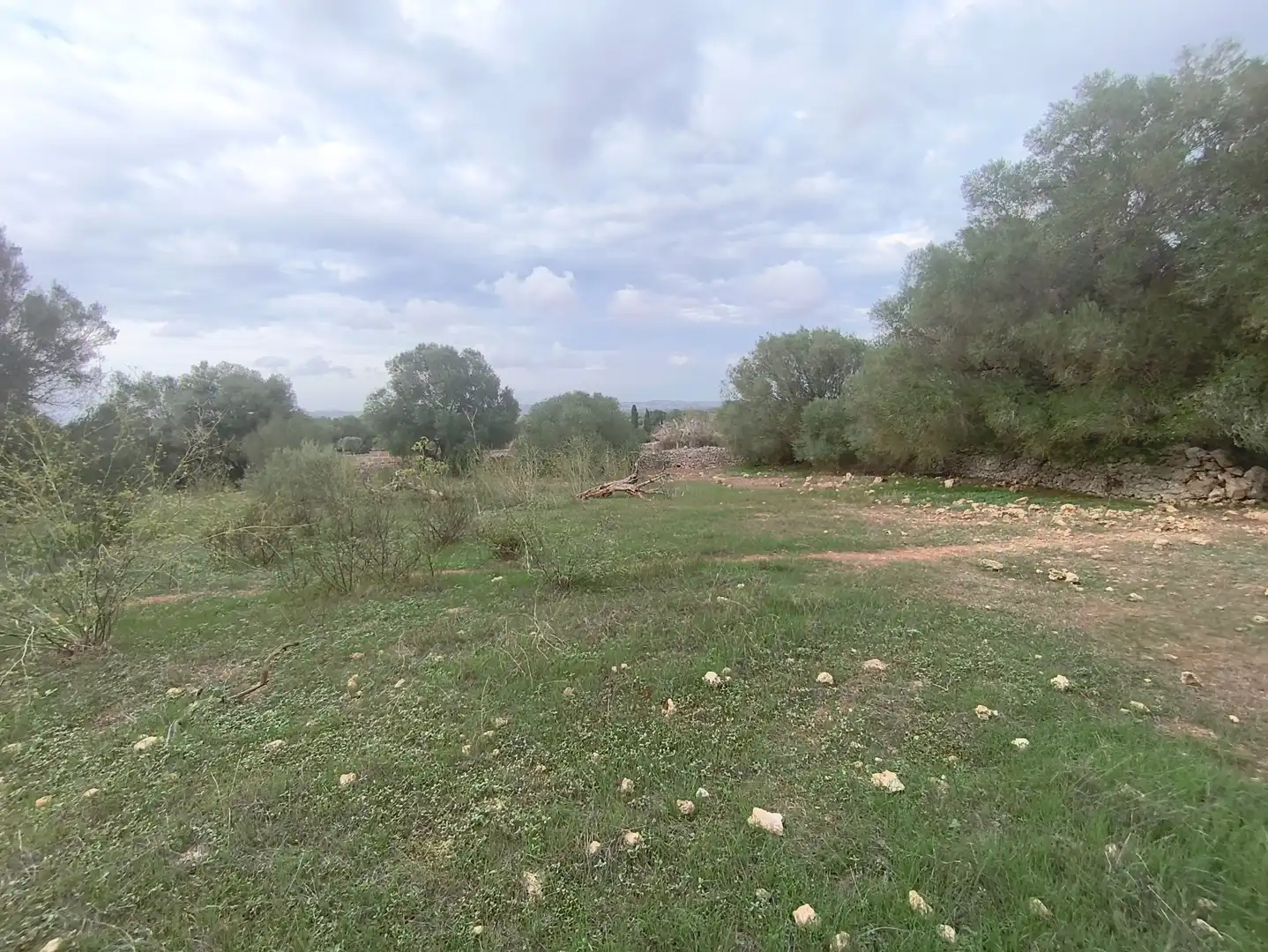 Rural land for sale in Ariany, imagen 9