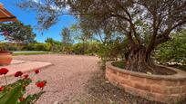 Garden of House or chalet for sale in Elche / Elx  with Air Conditioner, Terrace and Swimming Pool