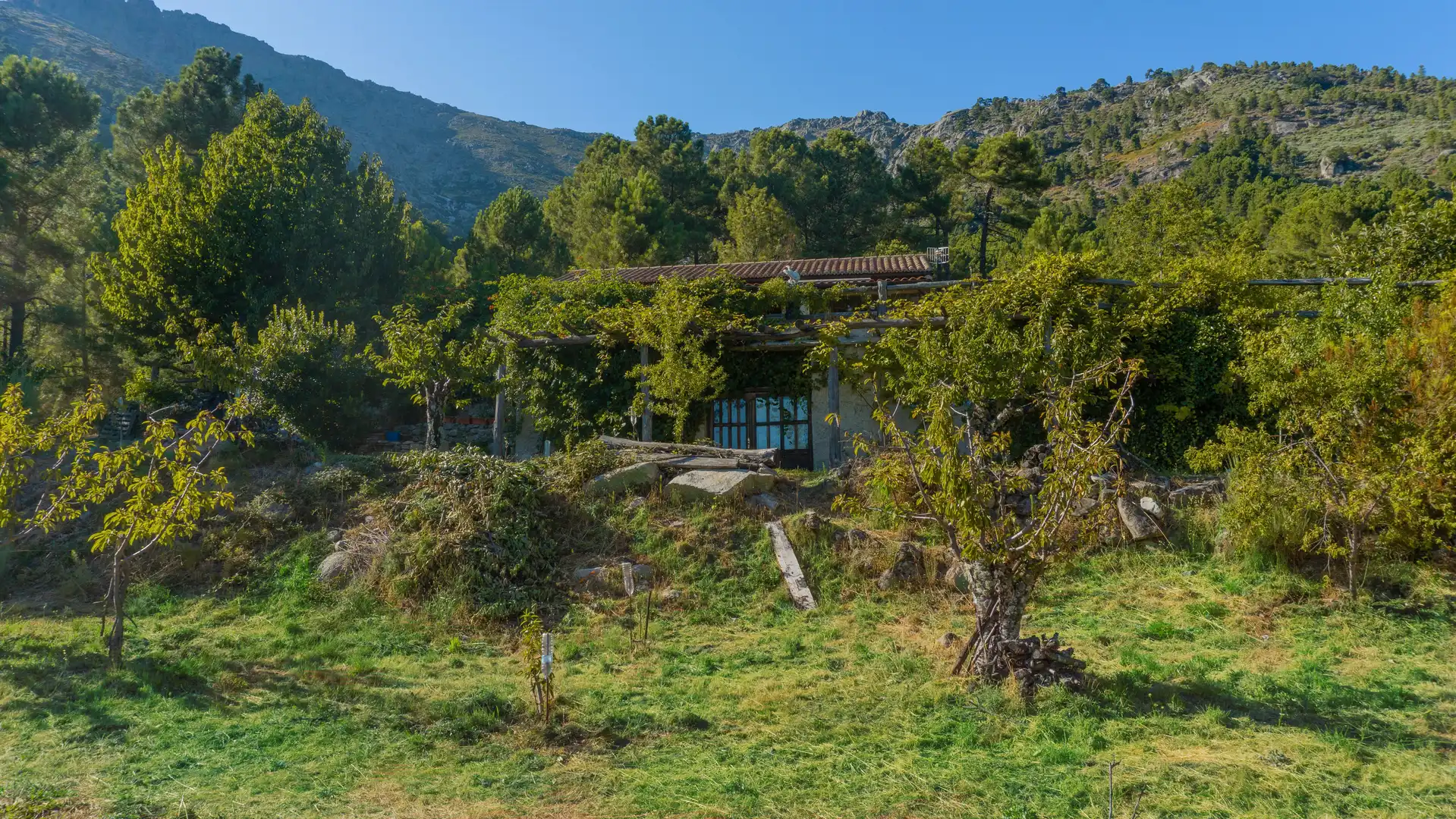 Vista exterior de Casa o xalet en venda en El Hornillo 