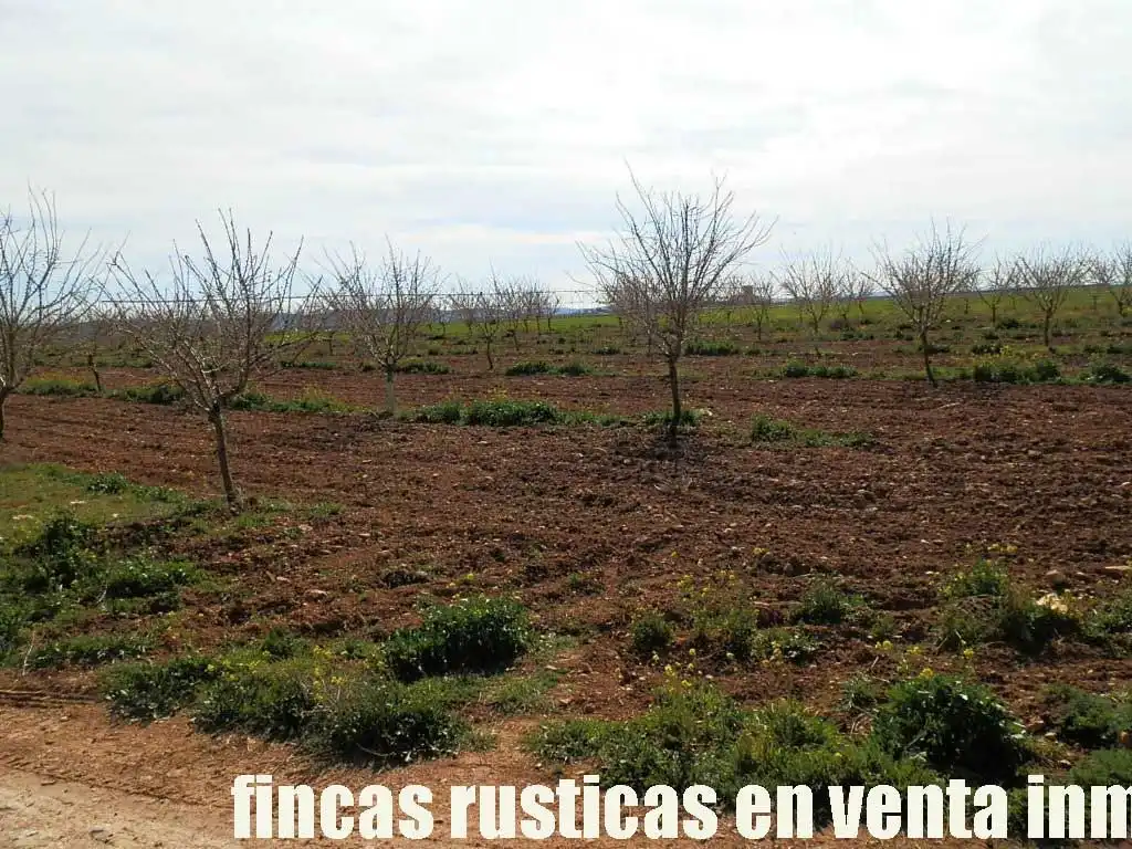 Terreny rústic en venda a Manzanares, imagen 6