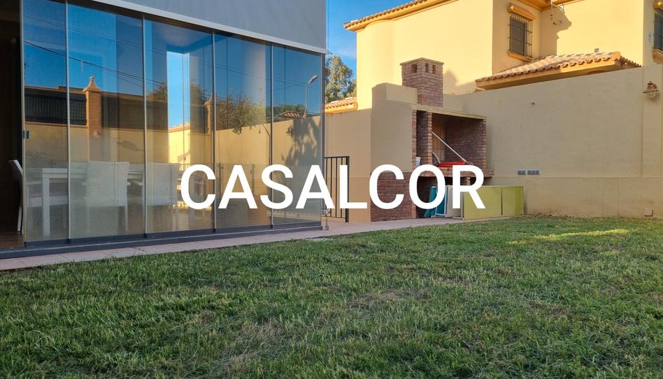 Foto 1 de Casa o xalet de lloguer a Mairena del Alcor, Sevilla