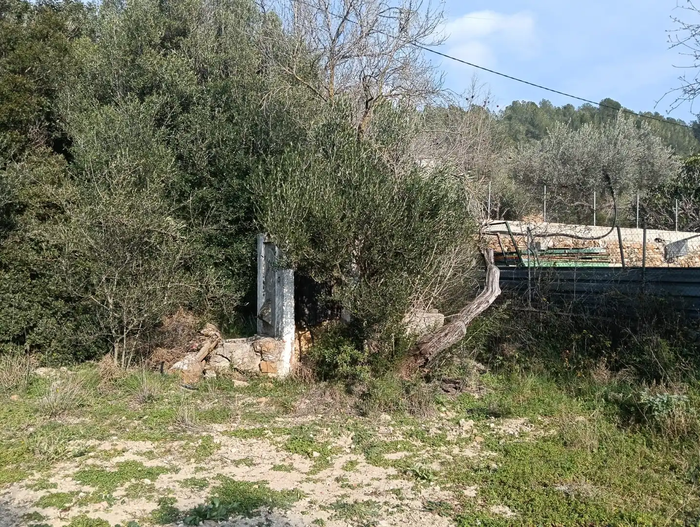 Casa rústica en venda a Vall d'Alba, imagen 2
