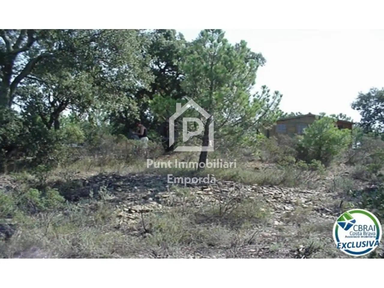 Terreny rústic en venda a Polígono Butaros 181, imagen 14