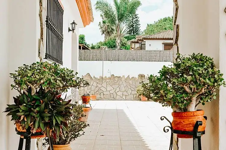 Houses for rent in Carril El Mudito, 8, Conil
