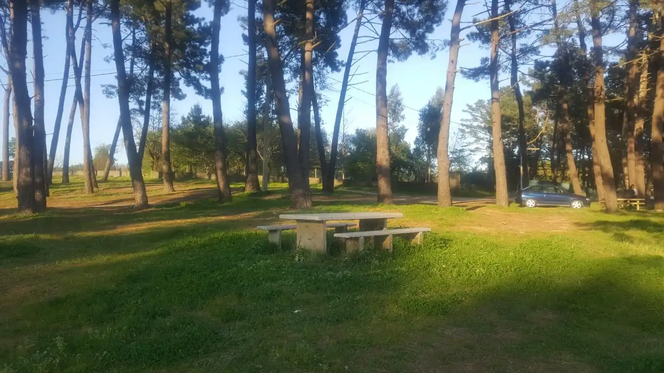 Garden of Residential for sale in Boiro