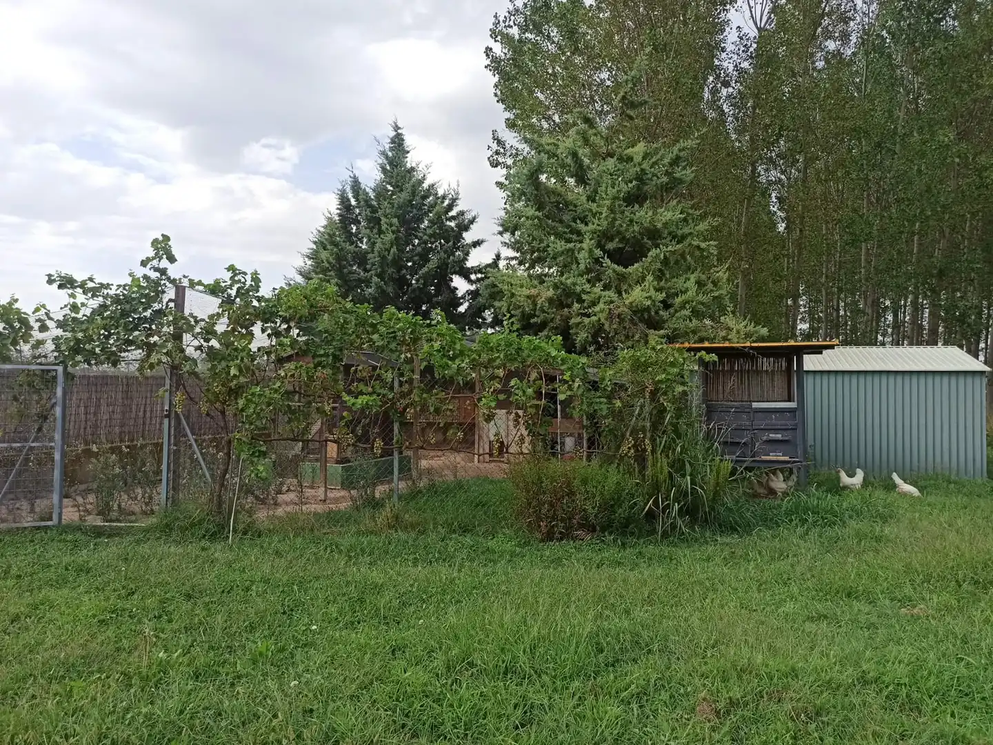 Terreno en venta en Viana