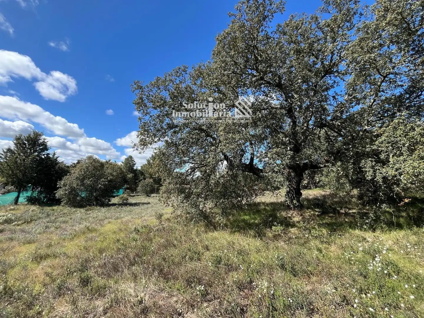 Terreno en venta en Terradillos