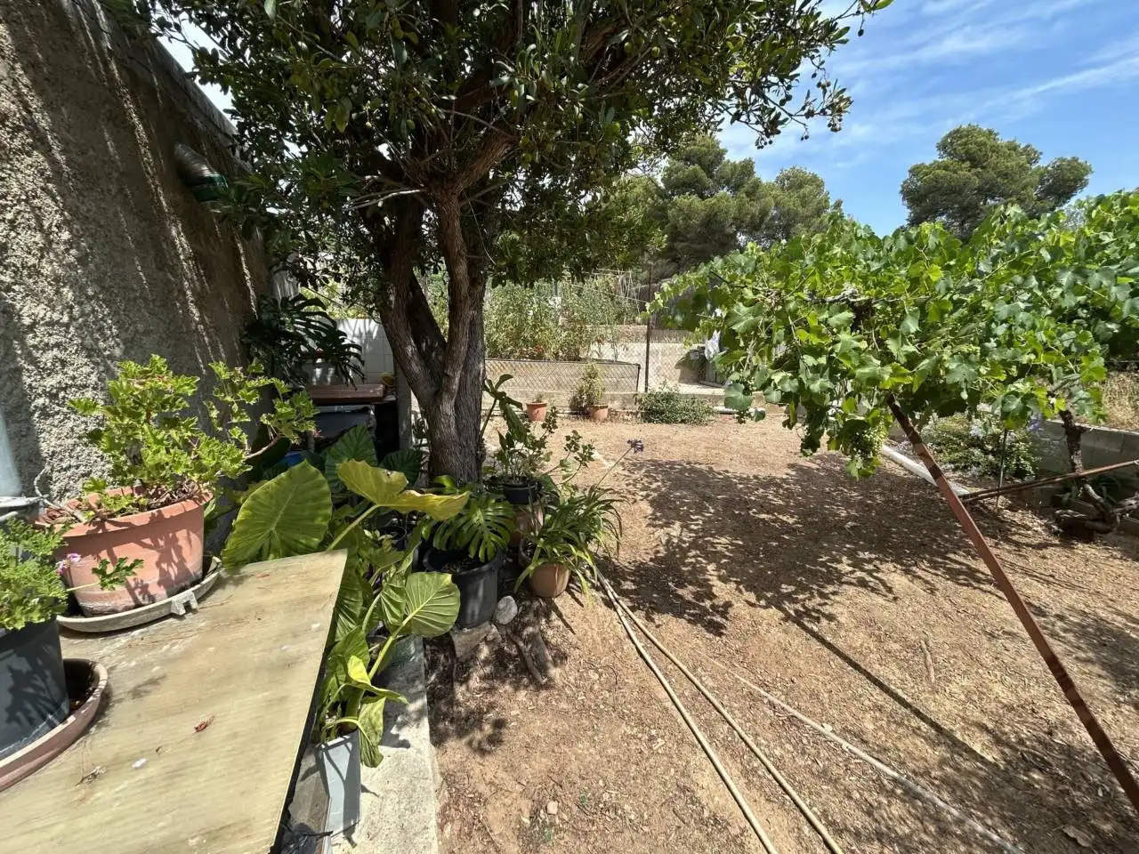 Rural land for sale in Calle Via lctea 34, imagen 11