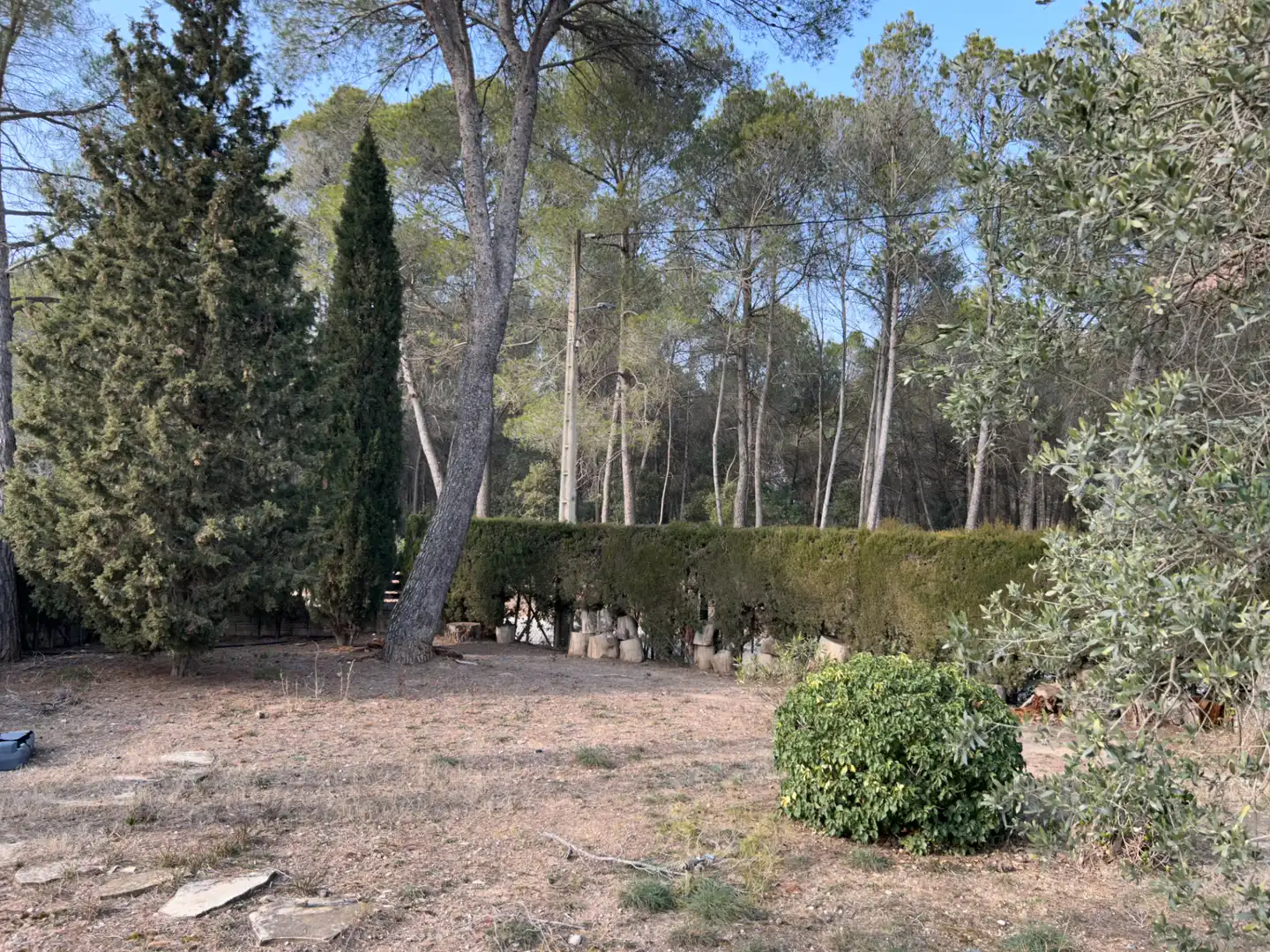 Jardí de Casa o xalet en venda en El Bruc amb Calefacció, Jardí privat i Terrassa